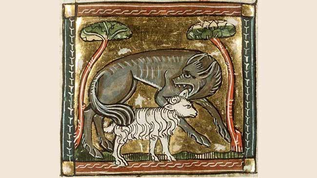 Miniatura medievale con un feroce lupo intento nell'aggredire una pecora
